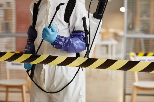 Professional Sewage Cleanup technician working in Bass Lake, CA